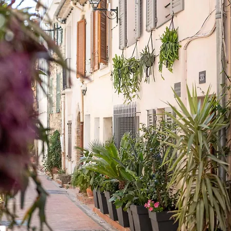 Les Petits Volets A 100m De La Apartmán Antibes